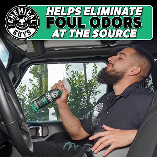 Chemical Guys AIR_101_16 New Car Smell Premium Air Freshener and Odor Eliminator, Long-Lasting Scent, Great for Cars, Trucks, SUVs, RVs & More, 16 fl oz