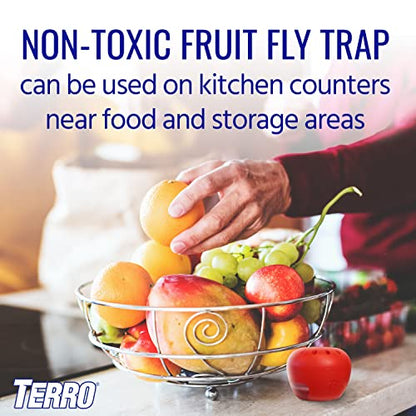 TERRO T2503SR Ready-to-Use Indoor Fruit Fly Killer and Trap with Built in Window - 4 Traps + 180 day Lure Supply