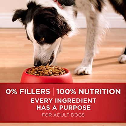 Purina ONE Dry Dog Food Lamb and Rice Formula - 31.1 lb. Bag