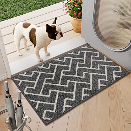 Indoor Doormat,Front Back Door Mat Rubber Backing Non Slip Door Mats,20"x31.5" Low-Profile Absorbent Resist Dirt Entryway Doormat Inside Floor Mats Entrance Machine Washable(Grey)