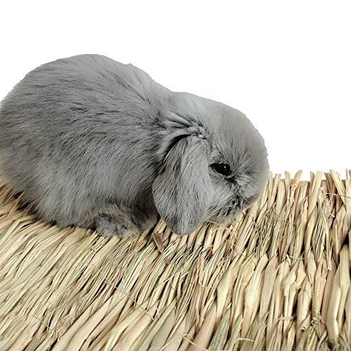 Grass Mat Woven Bed Mat for Small Animal Bunny Bedding Nest Chew Toy Bed Play Toy for Guinea Pig Parrot Rabbit Hamster Rat(Pack of 3)