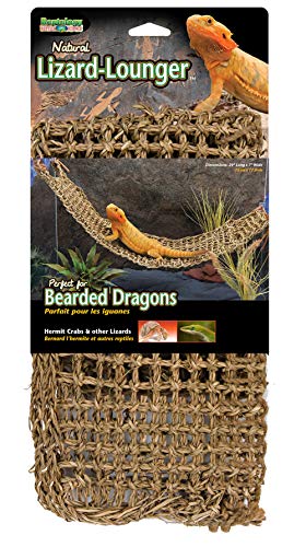 PENN-PLAX Reptology Lizard Lounger – 100% Natural Seagrass Fiber – Great for Bearded Dragons, Anoles, Geckos, and Other Reptiles – Extra Large