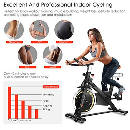 Goplus Indoor Cycling Bike, Stationary Bicycle with Flywheel and LCD Display, Cardio Fitness Cycle Trainer Professional Exercise Bike for Home and Gym Use (30 LBS Flywheel)