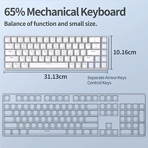 TMKB 60 Percent Keyboard,Gaming Keyboard,LED Backlit Ultra-Compact 68 Keys Gaming Mechanical Keyboard with Separate Arrow/Control Keys, T68SE, Red Switch