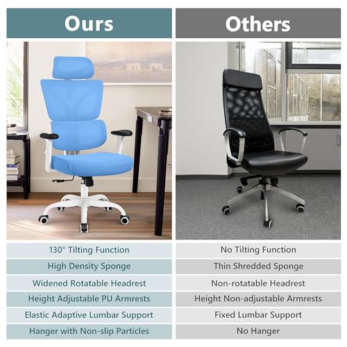 Winrise Office Chair Ergonomic Desk Chair, High Back Gaming Chair, Big and Tall Reclining chair Comfy Home Office Desk Chair Lumbar Support Breathable Mesh Computer Chair Adjustable Armrests(Sky Blue)