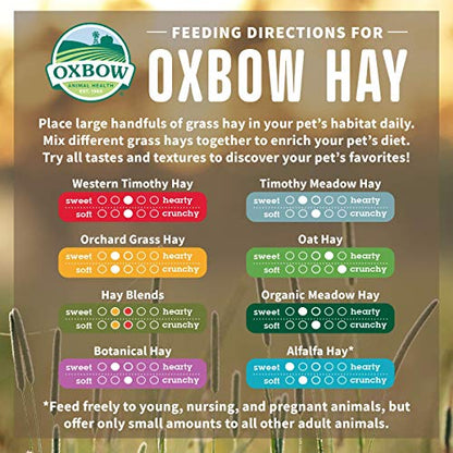 Oxbow Animal Health Orchard Grass Hay - All Natural Grass Hay for Chinchillas, Rabbits, Guinea Pigs, Hamsters & Gerbils - 40 oz.