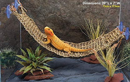 PENN-PLAX Reptology Lizard Lounger – 100% Natural Seagrass Fiber – Great for Bearded Dragons, Anoles, Geckos, and Other Reptiles – Extra Large