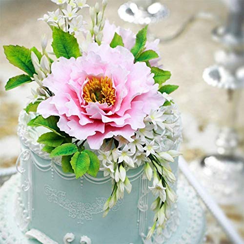 SK 5-Piece Peony Fondant Cutters Set Sugarcraft Modeling Tools Kit for Cake Decoration Black