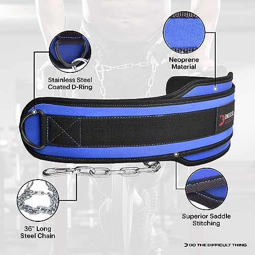 DMoose Dip Belt for Weightlifting - Weighted Pull Up and Squat Belt with Chain for Intense Workouts - Heavy Duty Stainless Steel Chain & Coated D-Ring - Weight Dipping Belt for Pullups and Dips