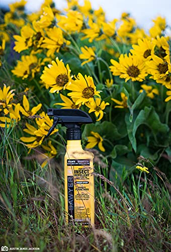 Sawyer Products SP6572 Twin Pack Premium Permethrin Clothing Insect Repellent Trigger Spray, 24 oz,Yellow