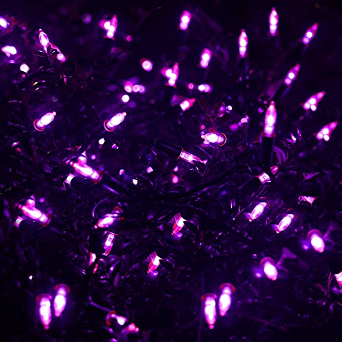 WATERGLIDE 2 Pack 50 LED Outdoor Halloween Lights, 16 FT Mini String Light with 8 Modes, Waterproof Battery Operated Tree Lights for Indoor Outdoor Patio Garden Party Wedding Decoration, Purple