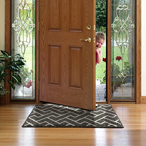 Indoor Doormat,Front Back Door Mat Rubber Backing Non Slip Door Mats,20"x31.5" Low-Profile Absorbent Resist Dirt Entryway Doormat Inside Floor Mats Entrance Machine Washable(Grey)