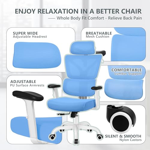 Winrise Office Chair Ergonomic Desk Chair, High Back Gaming Chair, Big and Tall Reclining chair Comfy Home Office Desk Chair Lumbar Support Breathable Mesh Computer Chair Adjustable Armrests(Sky Blue)