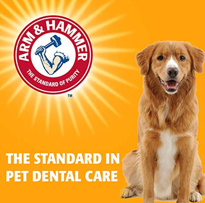 Arm & Hammer for Pets Advanced Care Dental Water Additive for Cats | Cat Teeth Cleaning Product for All Cats | Cat Dental Rinse in Fresh Mint Flavor, 8 Ounces