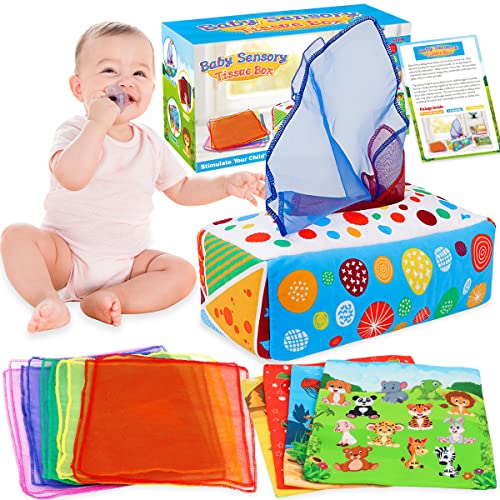 Aiduy Baby Toys 6 to 12 Months - Baby Tissue Box Toys Montessori Toys for Babies 6-12 Months - Soft Crinkle Infant Sensory Toys for 1 Year Old Early Learning Toys Baby Boys Girls Gifts