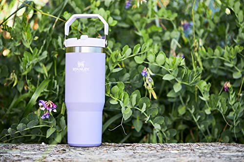 Stanley IceFlow Stainless Steel Tumbler with Straw - Vacuum Insulated Water Bottle for Home, Office or Car - Reusable Cup Leakproof Flip - Cold for 12 Hours or Iced for 2 Days (Lavender)