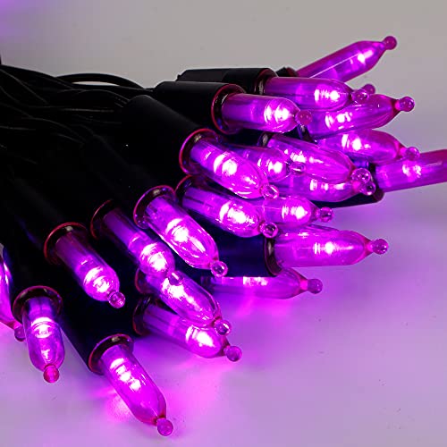 WATERGLIDE 2 Pack 50 LED Outdoor Halloween Lights, 16 FT Mini String Light with 8 Modes, Waterproof Battery Operated Tree Lights for Indoor Outdoor Patio Garden Party Wedding Decoration, Purple