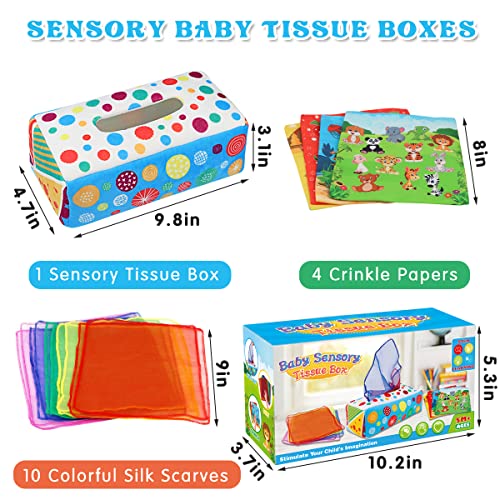 Aiduy Baby Toys 6 to 12 Months - Baby Tissue Box Toys Montessori Toys for Babies 6-12 Months - Soft Crinkle Infant Sensory Toys for 1 Year Old Early Learning Toys Baby Boys Girls Gifts