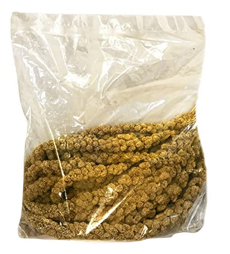 Nemeth Farms Worlds Freshest Sun-Dried Spray Millet Non-GMO and Pesticide Free (No Stems Only Edible Tops) Healthy Bird Treat and Supplement for All Pet Birds Keets Cockatiels Finches-1lb