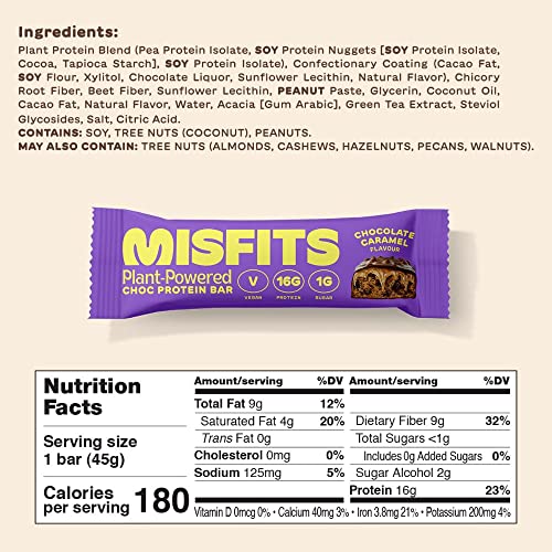 Misfits Vegan Protein Bar, Best Sellers Variety Pack, Plant Based Protein Bars, High Protein Snacks with 15g Per Bar, Low Sugar, Low Carb, Gluten Free, Dairy Free, High Fiber, Non GMO, 6 Flavor 12 Pack