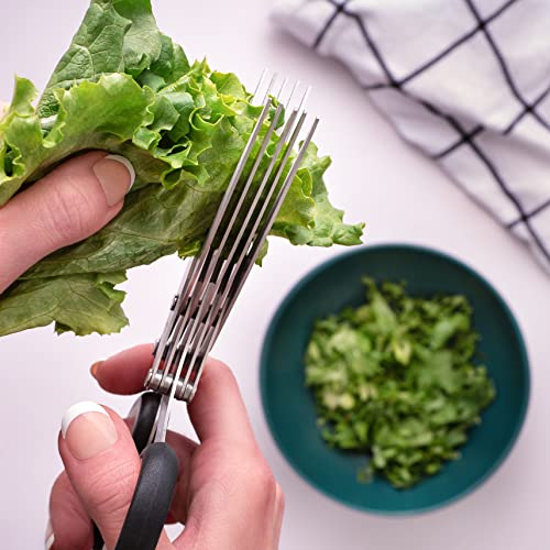 Jenaluca Herb Scissors with 5 Blades and Safety Cover - Cut, Chop & Mince Fresh Herbs & Leafy Greens - Stainless Steel Kitchen Shears with Cleaning Comb - Cool Kitchen Gadgets (Blue)