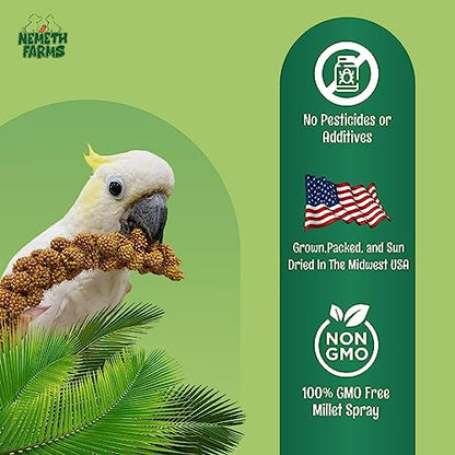 Nemeth Farms Worlds Freshest Sun-Dried Spray Millet Non-GMO and Pesticide Free (No Stems Only Edible Tops) Healthy Bird Treat and Supplement for All Pet Birds Keets Cockatiels Finches-1lb