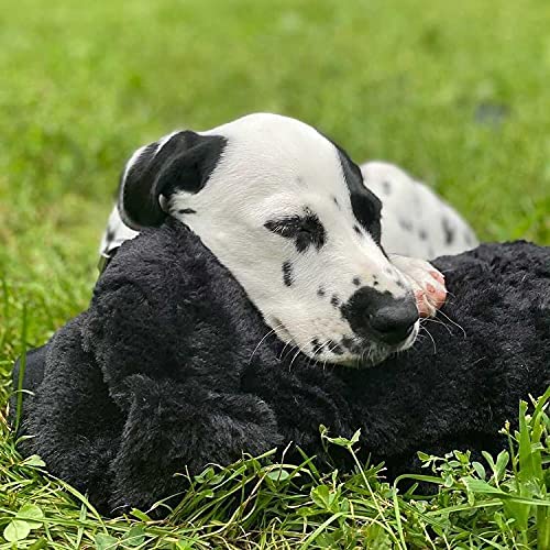 Original Snuggle Puppy Heartbeat Stuffed Toy for Dogs. Pet Anxiety Relief and Calming Aid, Comfort Toy for Behavioral Training in Black