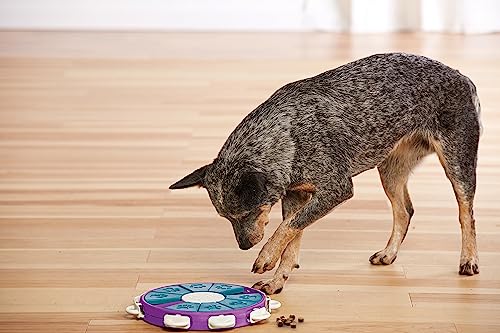 Outward Hound Nina Ottosson Dog Twister Interactive Treat Puzzle Dog Toy, Advanced