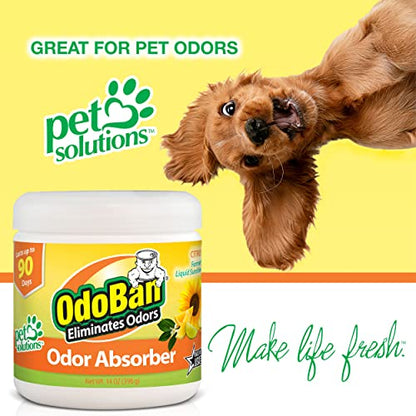 OdoBan Solid Odor Absorber Eliminator for Home and Small Spaces, Citrus Scent, 14 Ounces Each, 3-Pack