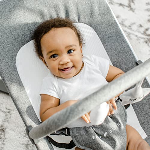 Baby Delight Alpine Deluxe Portable Bouncer | Infant | 0 – 6 months | Charcoal Tweed