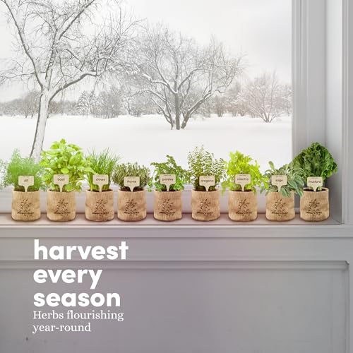 9 Herb Indoor Window Garden Kit - House Plants Seeds - Best Unique Gift Ideas for Women, Mom, Friend, Her, Birthday, Housewarming, Mother - New Home Kitchen Gifts - Live Plant Starter (Burlap Pots)