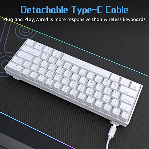 DIERYA 60% Mechanical Keyboard, DK61se Wired Gaming Keyboard with Brown Switches, LED Backlit Ultra-Compact 61 Keys Mini Office Keyboard for Windows Laptop PC Gamer Typist（White）
