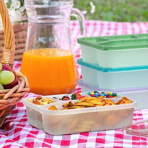 XGXN Bento Box Adult Lunch Box (4 Pack), 4-Compartment Meal Prep Container for Kids, Reusable Food Storage Containers with Transparent Lids, No BPA, Microwaveable (Transparent (Red/Green/Blue/Purple))