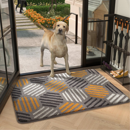 Color G Indoor and Outdoor Doormat, anti Slip Front Door Mat for Entryway, Machine Washable Doormat for Inside, 20"X 32" Front Door Rug, Gray