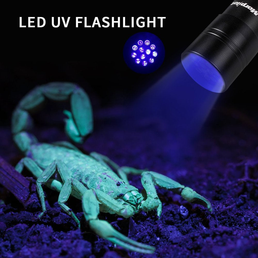 2 Pcs multifunctional UV Flashlight 12Leds Ultraviolet Blacklight Pet Dog Stain & Urine Detector Light Torch Ultra Violet Flashlight