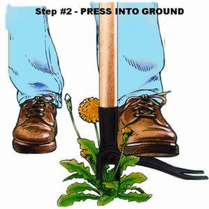 Grampa's Weeder - The Original Stand Up Weed Puller Tool with Long Handle - Made with Real Bamboo & 4-Claw Steel Head Design - Easily Remove Weeds While Saving Your Knees & Back