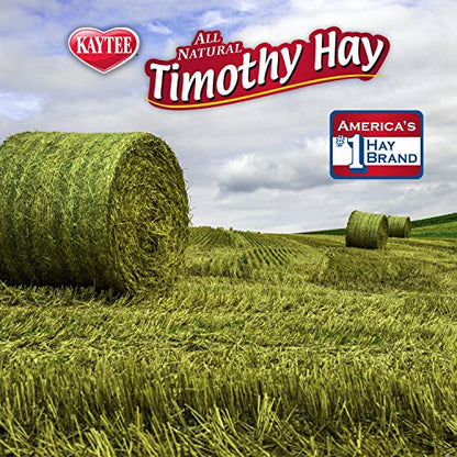 Kaytee Timothy Hay Blend Cubes 1 pound