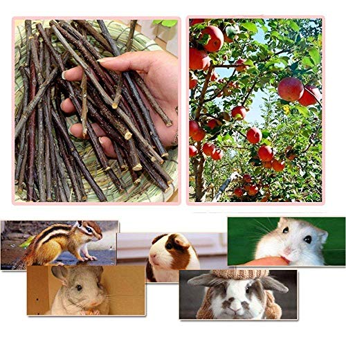 William Craft Apple Sticks Pet Chew Toys Treats for Chinchilla Guinea Pigs Rabbits Squirrel Hamster Bunny