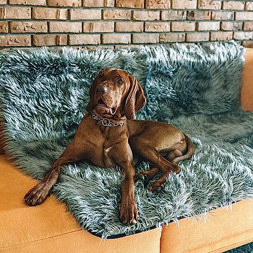 Waterproof Dog Blanket, Plush Throw for Sleeping, Whelping, and Comfort, Pet Fur, Bed, Car, Couch, and Furniture Protection with Soft, Stain Resistant Surface, Machine Washable (80" x 60", Grey)