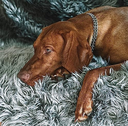 Waterproof Dog Blanket, Plush Throw for Sleeping, Whelping, and Comfort, Pet Fur, Bed, Car, Couch, and Furniture Protection with Soft, Stain Resistant Surface, Machine Washable (80" x 60", Grey)