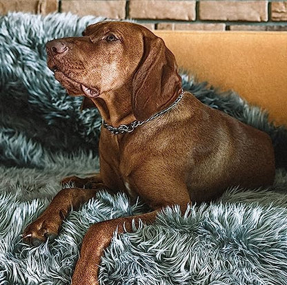 Waterproof Dog Blanket, Plush Throw for Sleeping, Whelping, and Comfort, Pet Fur, Bed, Car, Couch, and Furniture Protection with Soft, Stain Resistant Surface, Machine Washable (80" x 60", Grey)