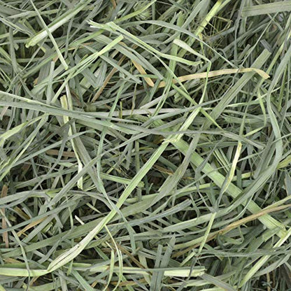 Oxbow Animal Health Orchard Grass Hay - All Natural Grass Hay for Chinchillas, Rabbits, Guinea Pigs, Hamsters & Gerbils - 40 oz.