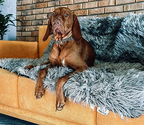 Waterproof Dog Blanket, Plush Throw for Sleeping, Whelping, and Comfort, Pet Fur, Bed, Car, Couch, and Furniture Protection with Soft, Stain Resistant Surface, Machine Washable (80" x 60", Grey)