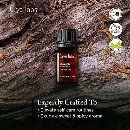 Gya Labs Caraway Essential Oil - Sweet & Spicy Scent (0.34 fl oz)