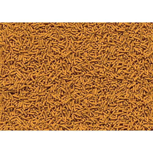 Tetra Large Pellet Koi Food, Floating Pond Food For Koi Fish, Premium Nutrition With Color Enhancers, 5.18 Lbs