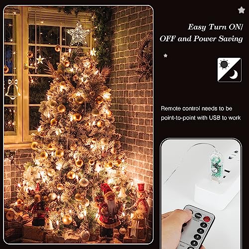Roylvan Christmas Star Tree Topper with 8 Lighting Modes, USB Christmas Star Treetop with Timer Decorative Light with Silver Strip, 20 LED Light Xmas Tree Top Decor for Home Indoor Outdoor, Black