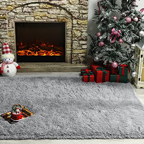 Andecor Soft Fluffy Bedroom Rug, 4 x 6 Feet Indoor Shaggy Plush Area Rugs for Living Room Boys Girls Kids Baby Room Nursery College Dorm Home Decorations Floor Carpet, Grey