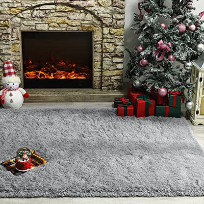 Andecor Soft Fluffy Bedroom Rug, 4 x 6 Feet Indoor Shaggy Plush Area Rugs for Living Room Boys Girls Kids Baby Room Nursery College Dorm Home Decorations Floor Carpet, Grey