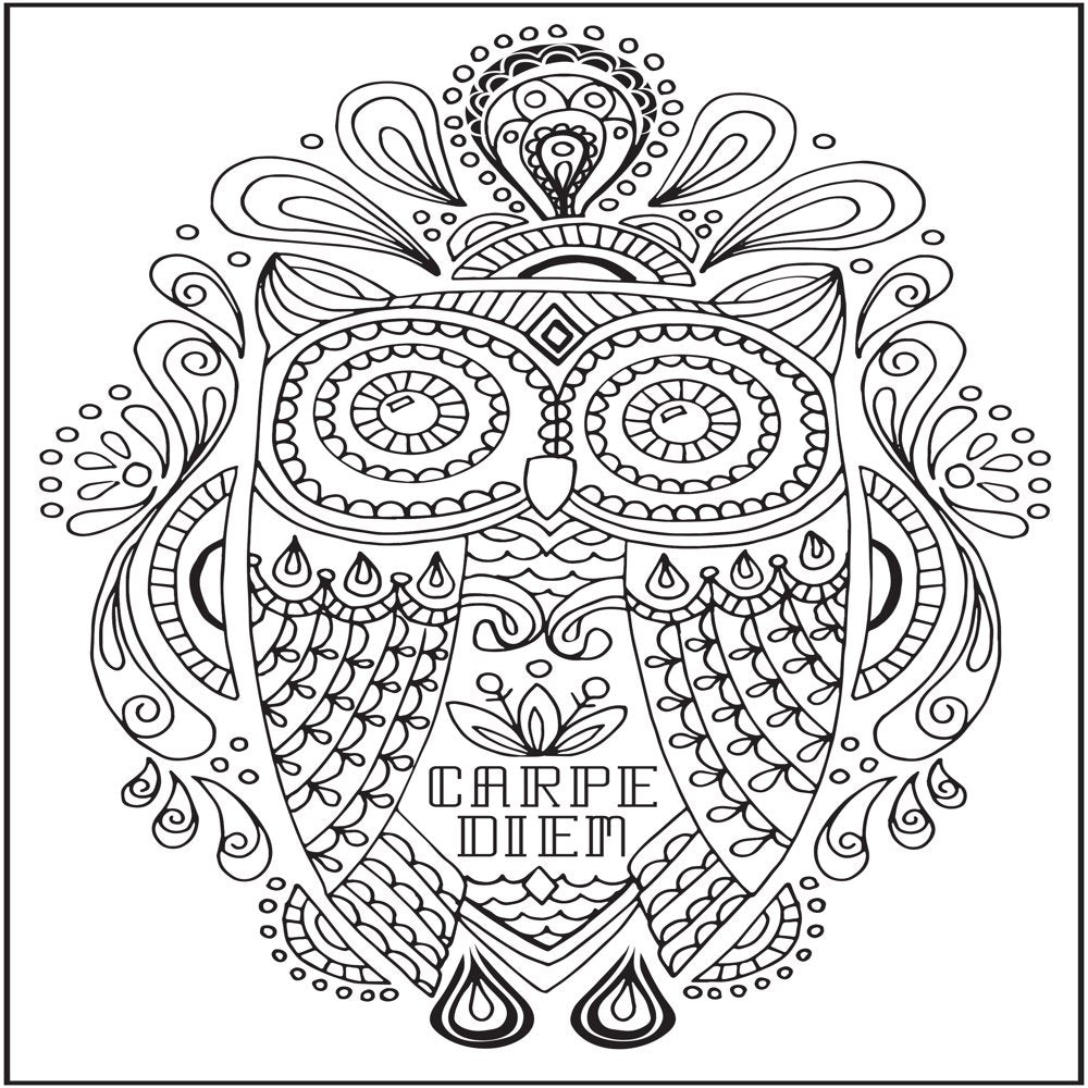 Cra-Z-Art Timeless Creations, Feathered Friends New Adult Coloring Book, 64 Pages