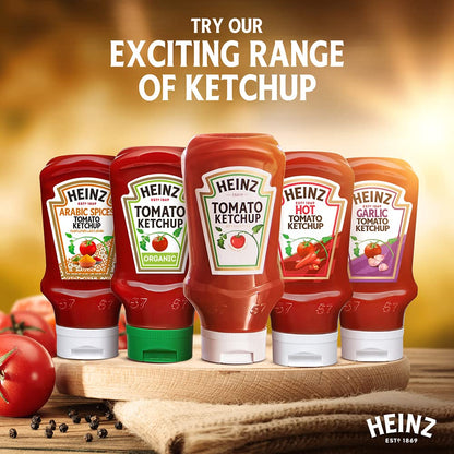 Heinz Tomato Ketchup (20 oz Bottle)